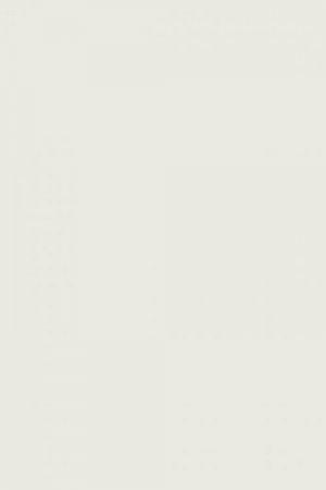 FARROW AND BALL GREAT WHITE NO. 2006 PAINT